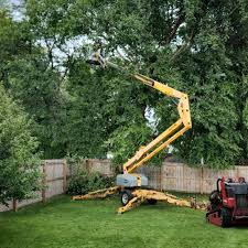 Vinita Park, MO Tree Care Services Company